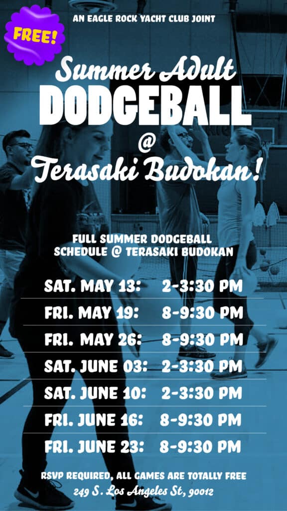 Dodgeball flyer with a full schedule of events